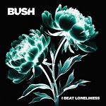 http://bushofficial.com/