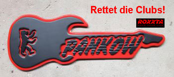 pankow_gitarre_quer.jpg